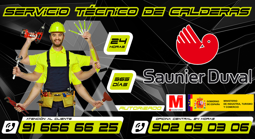 Servicio Tecnico de Calderas Saunier Duval Fuenlabrada