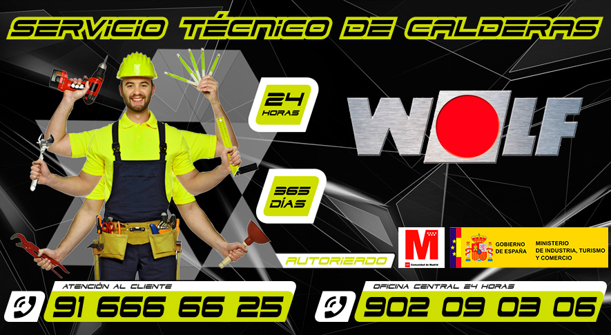 Servicio Técnico Calderas Wolf en Fuenlabrada