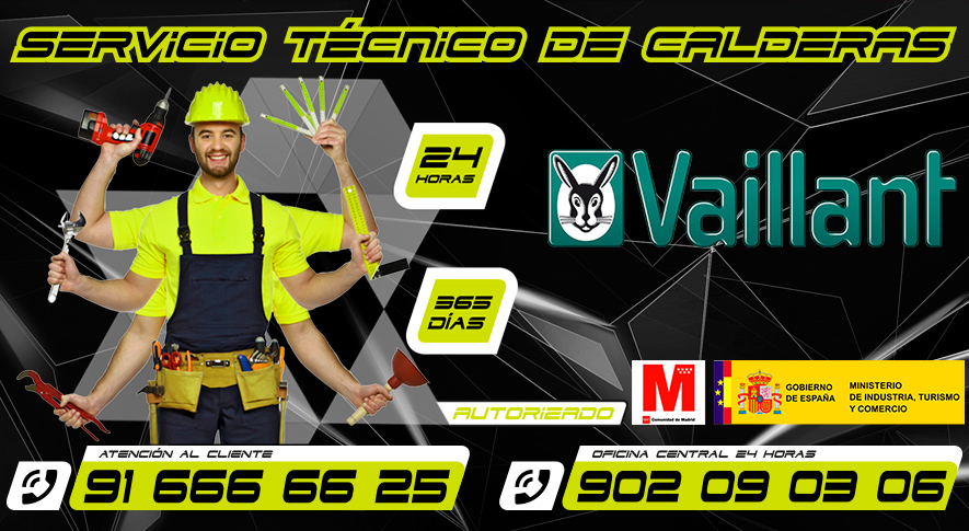 Servicio Técnico Calderas Vaillant en Pinto