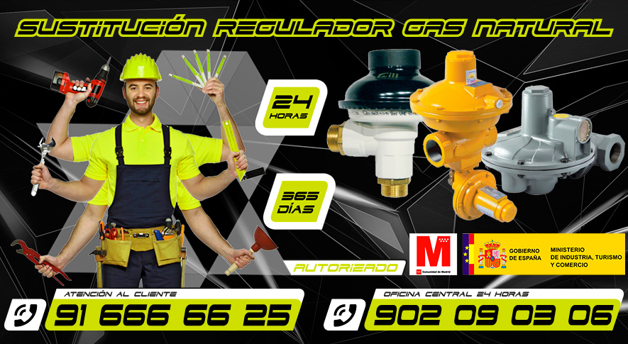 Sustitución regulador de Gas Natural en Alcorcón